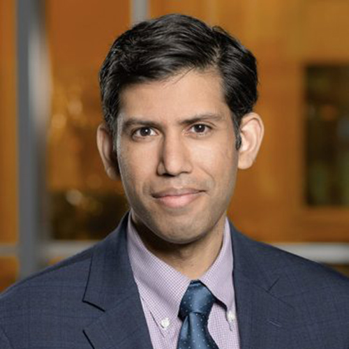 Lav R. Varshney portrait
