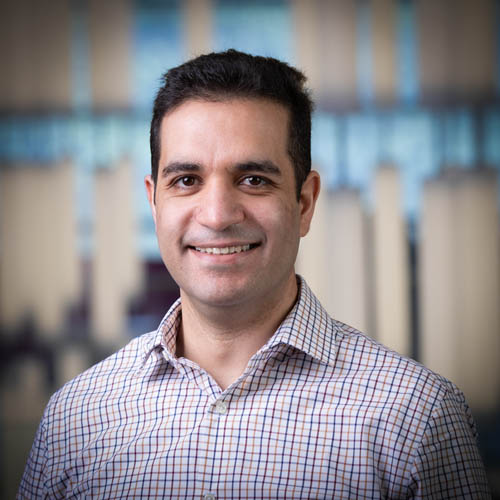 Mohammad Javad Amiri portrait