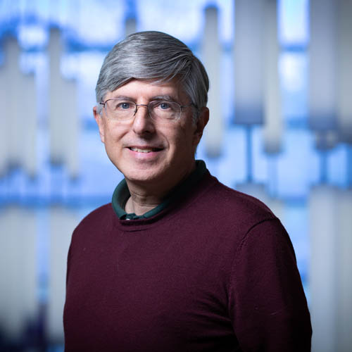 Steven Skiena portrait