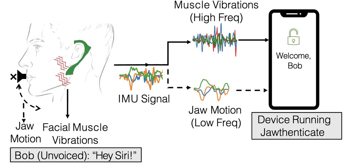 Figure 2 - Jawthenticate uses jaw movements as a biometric identifier.  