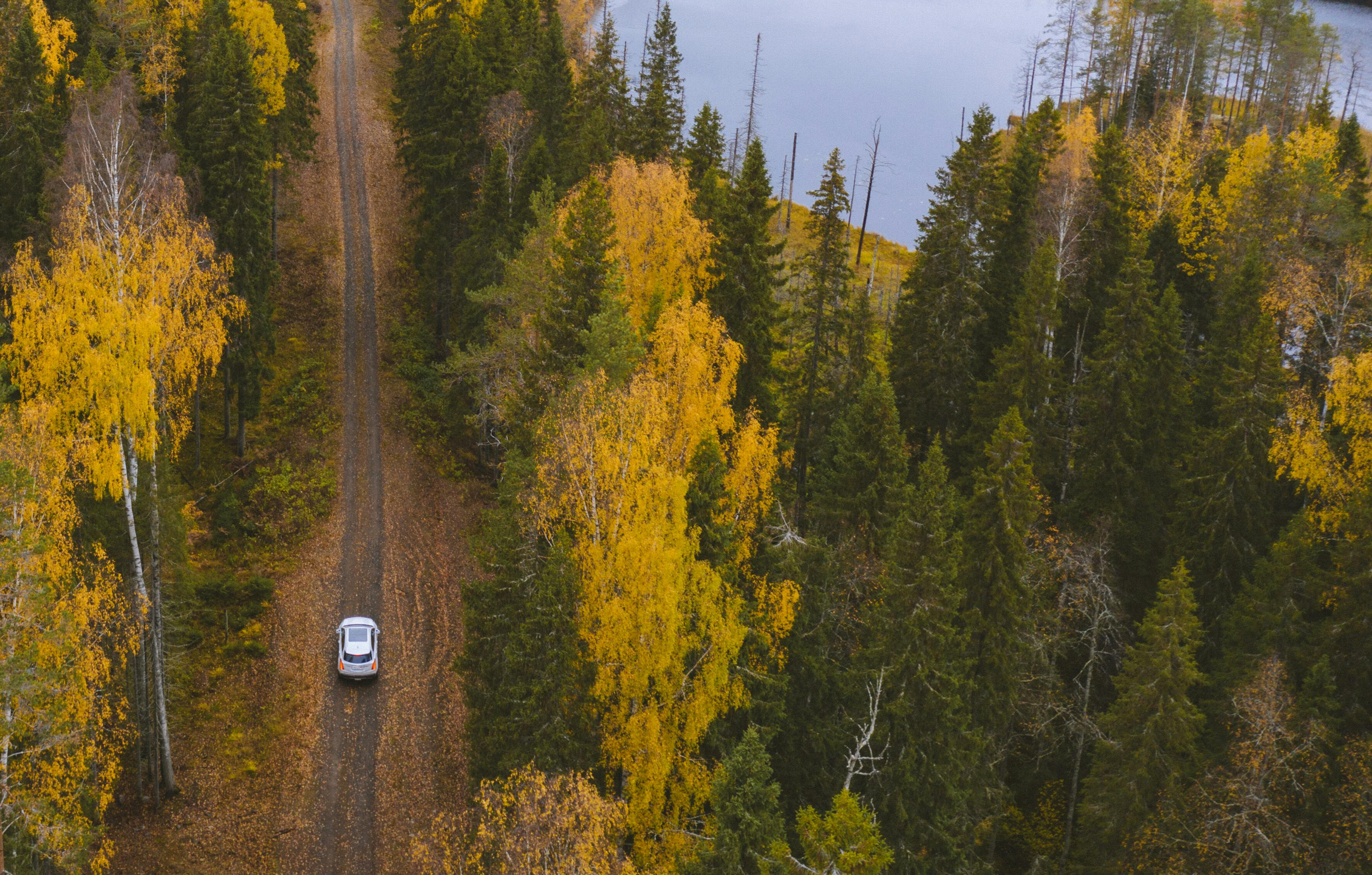 Aerial view of a car driving along a forest road beside a lake, illustrating loss of GPS signal in remote areas.